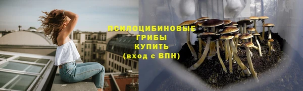 молекула духа Горняк