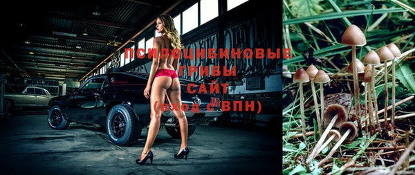 молекула духа Горняк