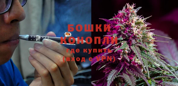твердый Горнозаводск