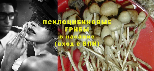 молекула духа Горняк
