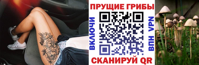 Псилоцибиновые грибы мухоморы  Купить  Октябрьский 